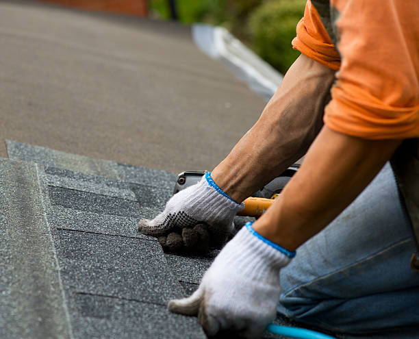 Best Roof Gutter Cleaning  in Canton, MS